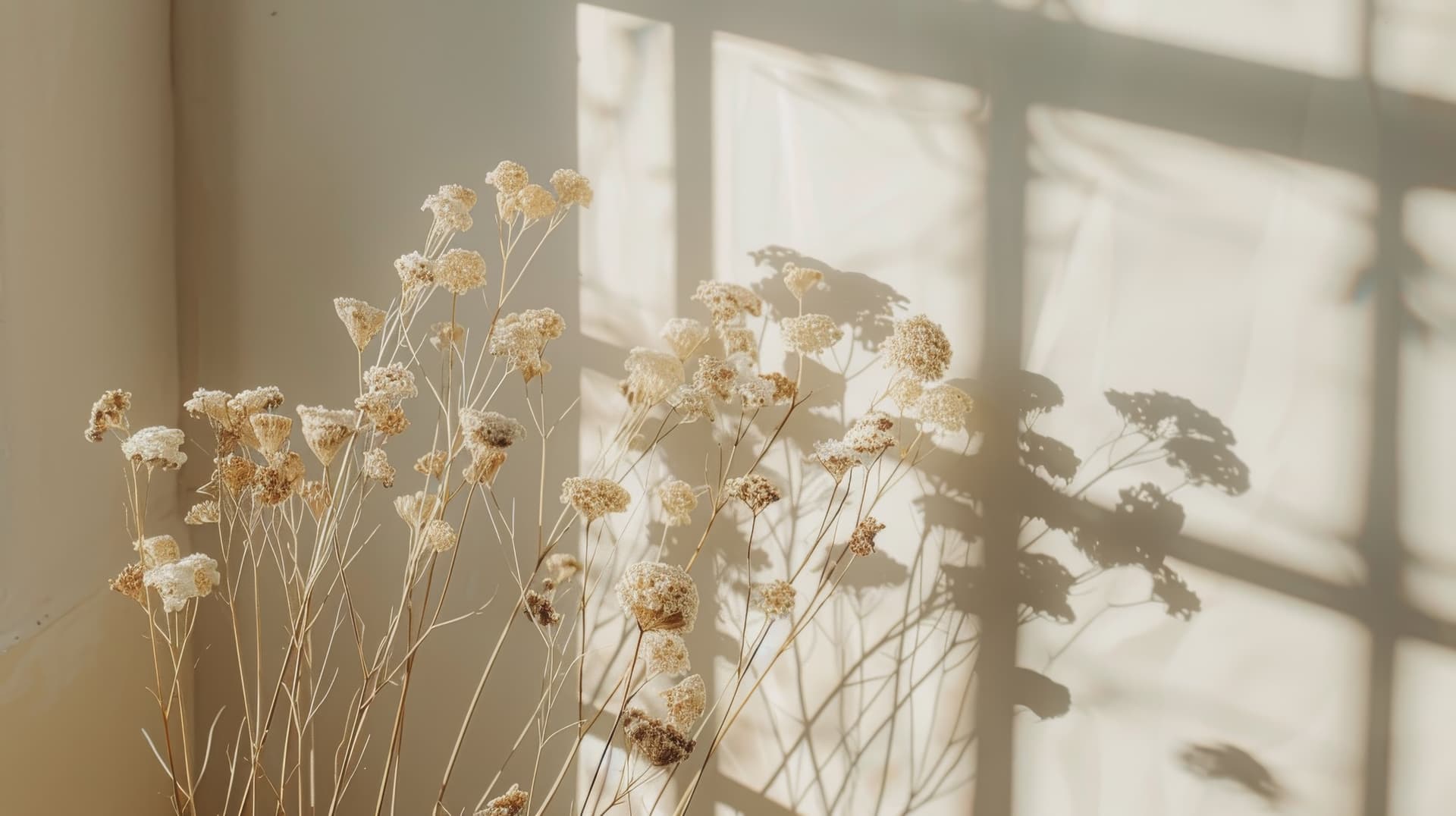 MIAN Flowers — hoa tươi thiết kế theo cảm hứng